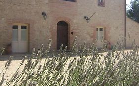 Agriturismo La Segolina