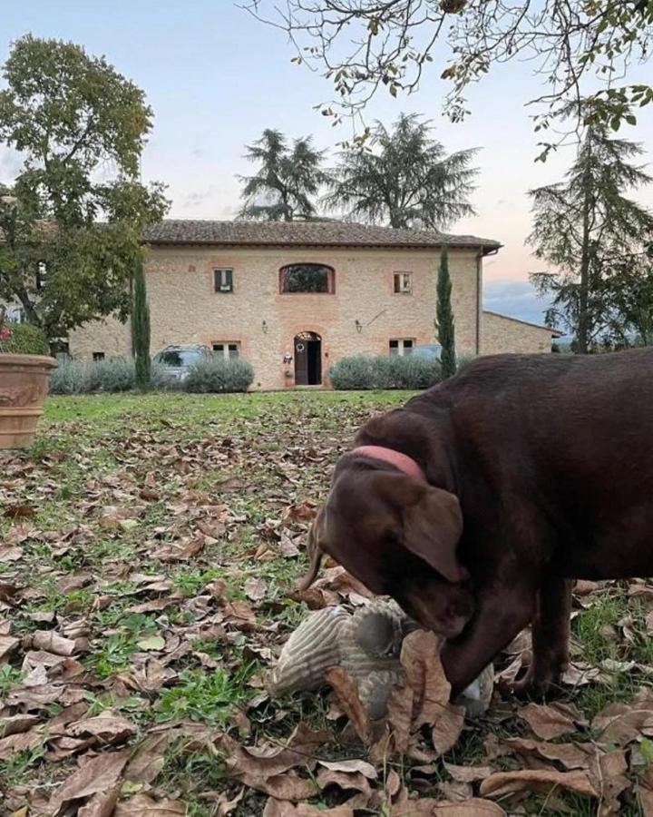 Agriturismo La Segolina Colle di Val d'Elsa Exterior foto